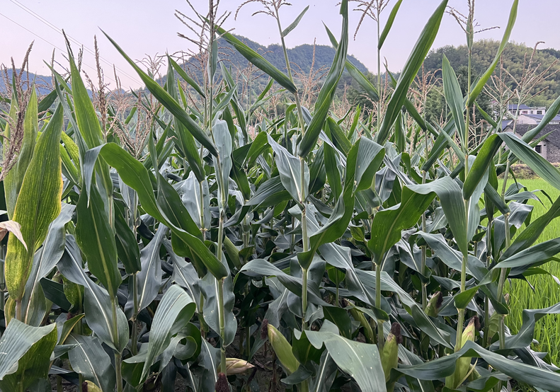 東營持續(xù)開展應(yīng)對極端天氣安全生產(chǎn)知識宣傳解讀