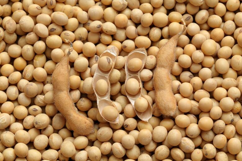 圖們市對水稻、玉米、大豆等作物開展現場機收減損監測調查活動