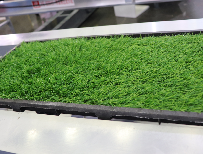 蕪湖市灣沚區舉辦油菜機械化移栽現場觀摩會 加大新機具新技術引進示范與推廣力度