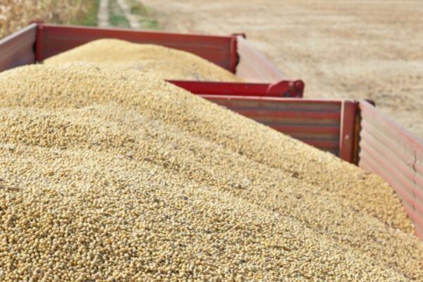 新增27個檔次補貼機具！福建省調整2024-2026年農機補貼額一覽表