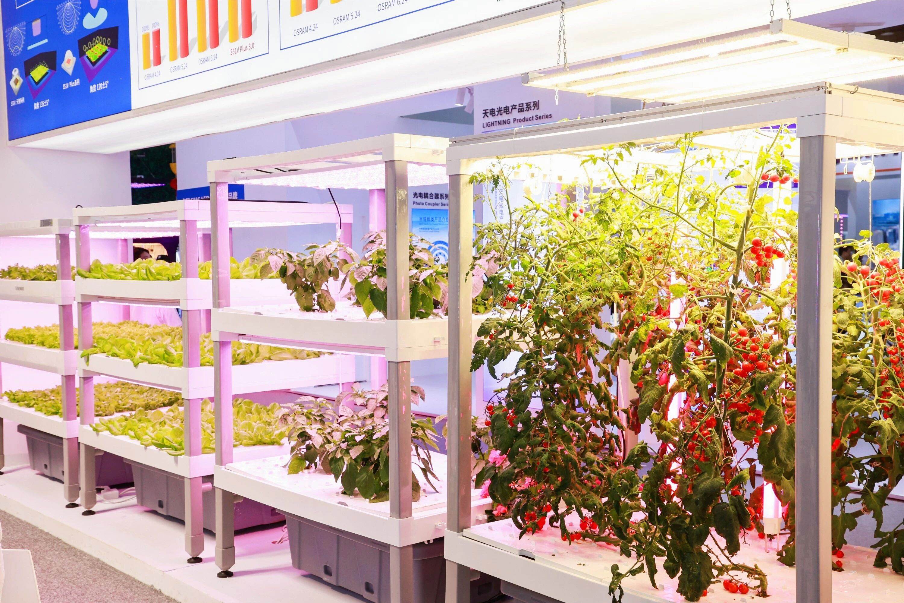 GILE 2026 | 策展革命，明年這里不賣燈，只“種”場景