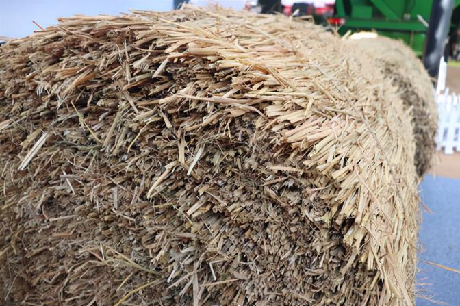 奶牛智慧牧場全程機械化養殖集成應用入選2025年智慧養殖全程機械化典型案例